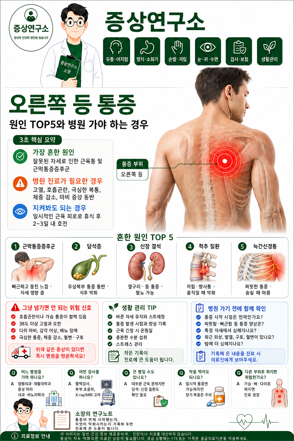 오른쪽 등 통증 원인과 병원 진료 기준을 정리한 의료 인포그래픽