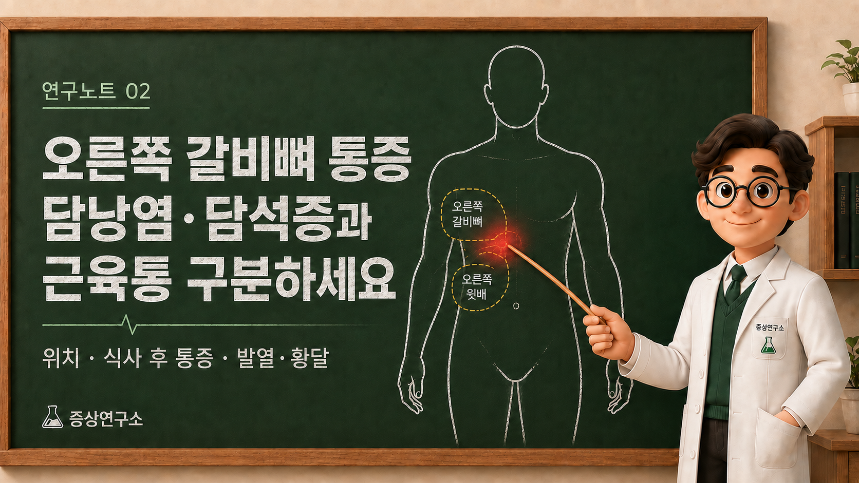 오른쪽 갈비뼈 통증이 근육통인지 담석증·담낭염인지 통증 위치, 식사 연관성, 발열·황달 여부로 구분하는 방법을 정리한 인포그래픽
